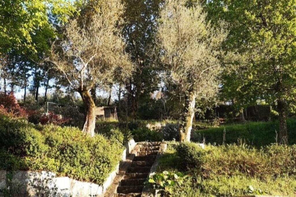 Cavado'S Heights Braga Daire Dış mekan fotoğraf