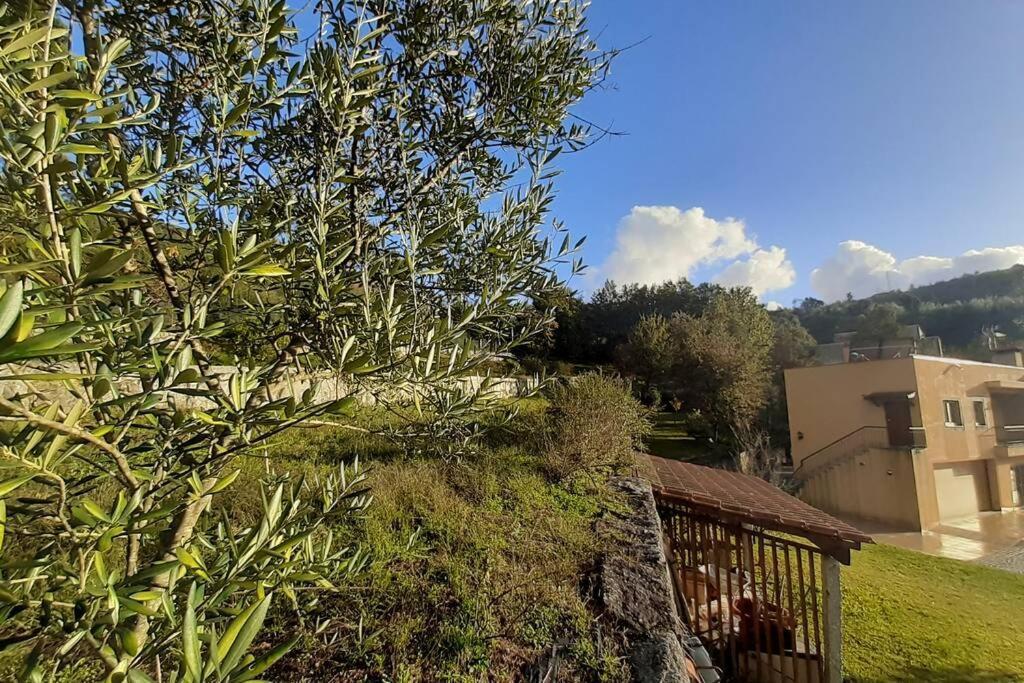 Cavado'S Heights Braga Daire Dış mekan fotoğraf