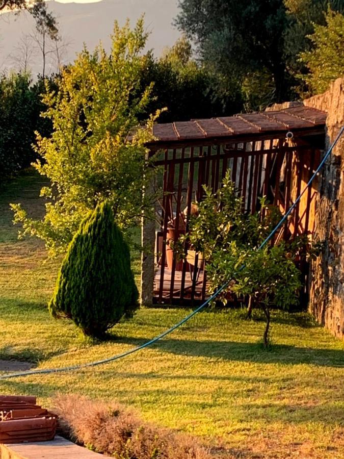 Cavado'S Heights Braga Daire Dış mekan fotoğraf